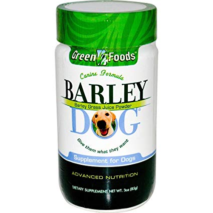 Barley Dog
