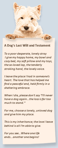 A Dog's Last Will and Testament
